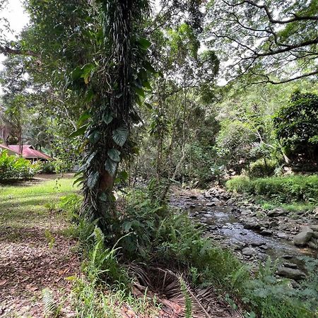 Evasion Bungalow Tropical Spa Sarraméa Zewnętrze zdjęcie