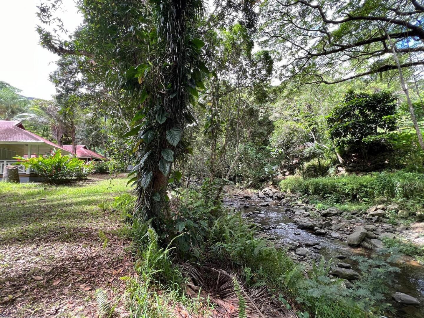Evasion Bungalow Tropical Spa Sarraméa Zewnętrze zdjęcie